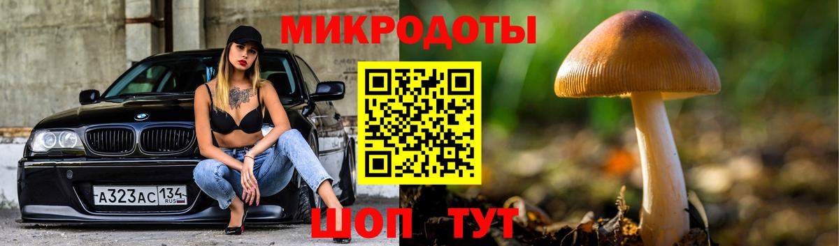 Галлюциногенные грибы Cubensis Тайшет