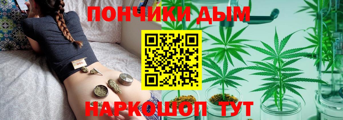МАРИХУАНА ГИДРОПОН Тайшет